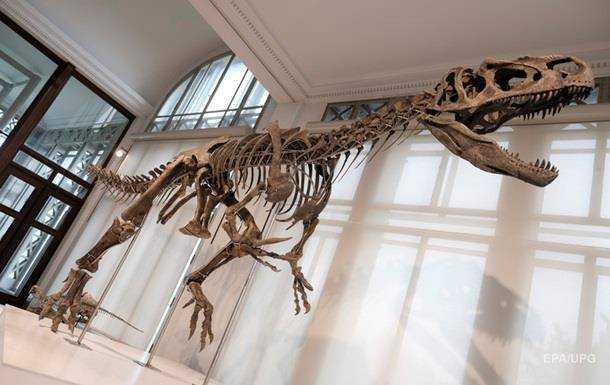 Исследователи установили причину гибели динозавров