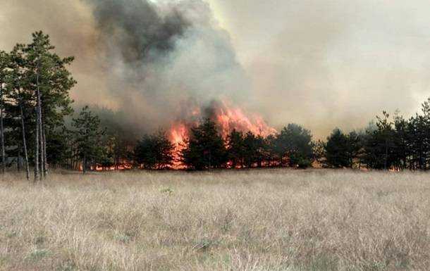 На Житомирщине четыре новых очага лесных пожаров