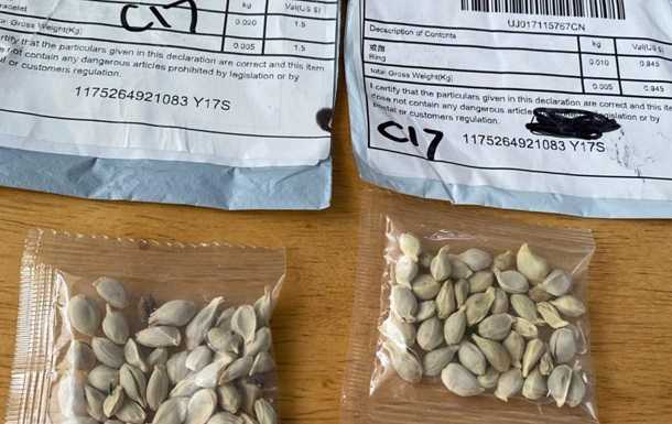 Американцы стали получать из Китая подозрительные посылки с семенами