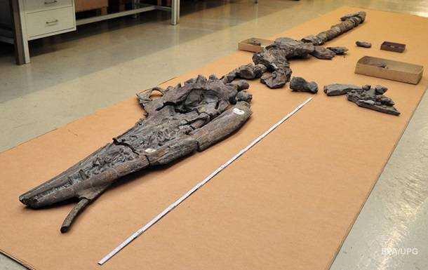 Китайские ученые обнаружили останки одного динозавра внутри другого