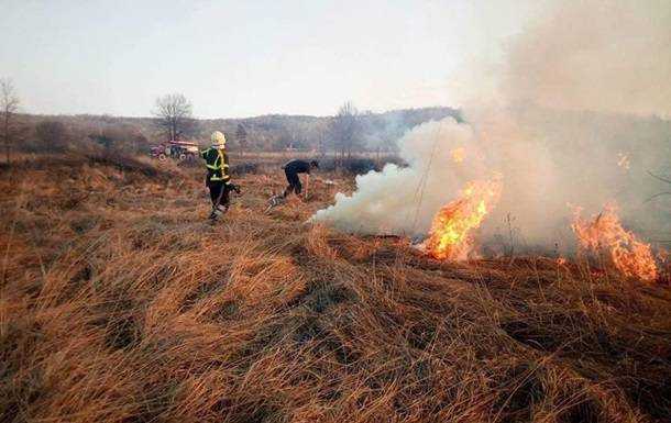 В ГСЧС назвали основную причину возникновения лесных пожаров