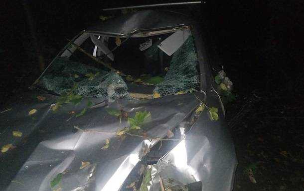 В Винницкой области дерево рухнуло на авто, есть жертвы