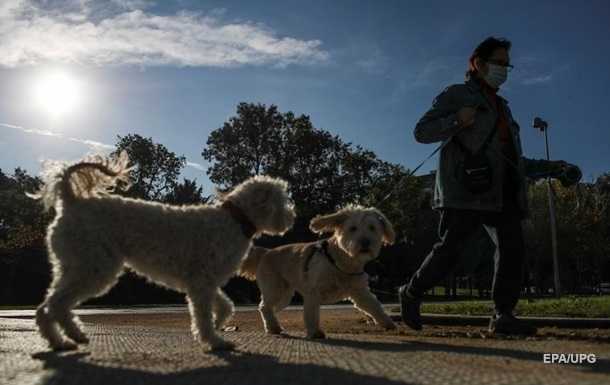 Владельцев собак призвали соблюдать социальную дистанцию между животными