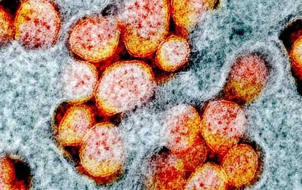 Дослідження: британські вчені інфікуватимуть коронавірусом добровольців