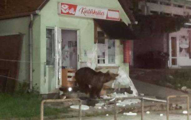 Румунське курортне місто "окупували" ведмеді
