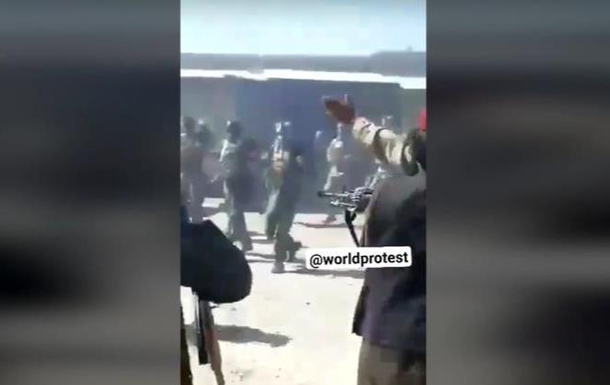 Відео розстрілу талібами військових. 18+