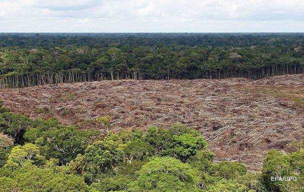 Джунглі Амазонії накрила небувала посуха