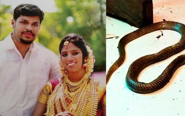 В Індії засудили чоловіка за вбивство дружини коброю