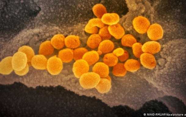 Новий варіант коронавірусу: ЄС заборонив в'їзд з країн південної Африки