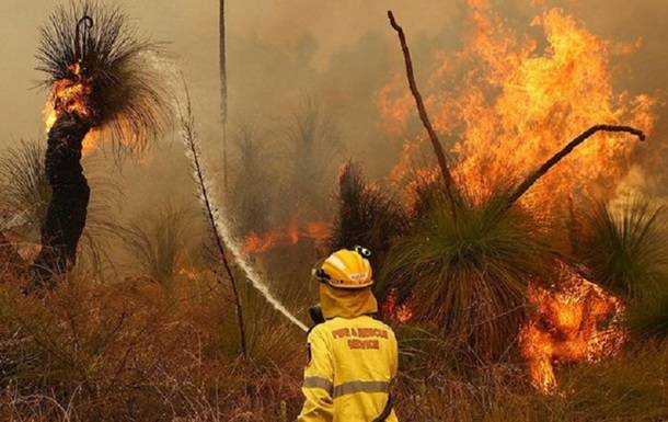 В Австралії спалахнули лісові пожежі