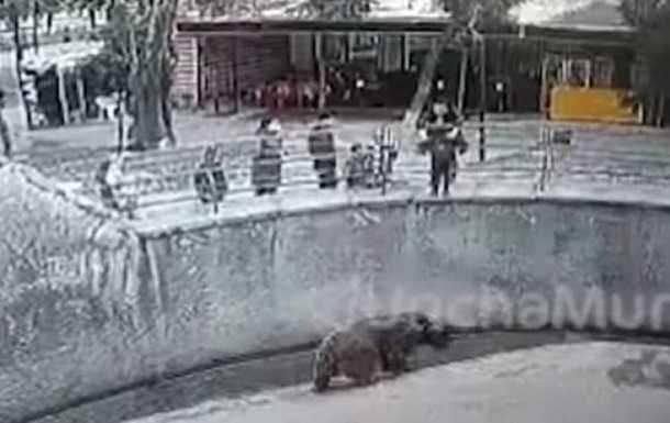 З'явилося відео, як у Ташкенті мати кидає доньку у вольєр до ведмедя