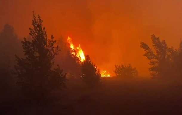 Біля Чорнобильської зони горів ліс