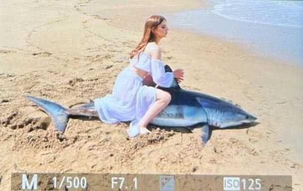 Росіяни вбили акулу заради фотографій