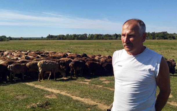 Пастух врятував стадо овець, перегнавши його з Донбасу на Волинь