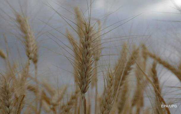 Польща обіцяє Україні допомогу в експорті зерна
