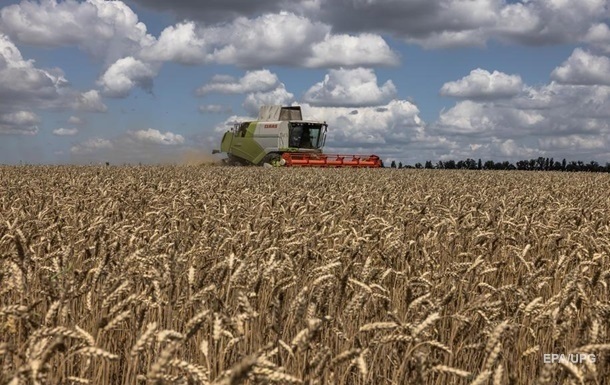 В Украине собирают урожай озимых