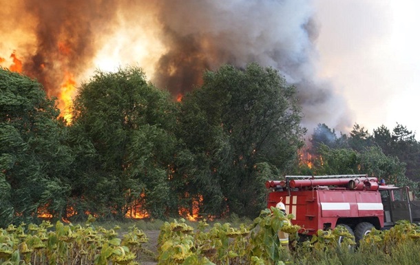 Площадь пожара в лесу Николаевской области увеличилась вдвое