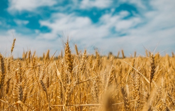 Украина в сентябре сократила экспорт агропродукции