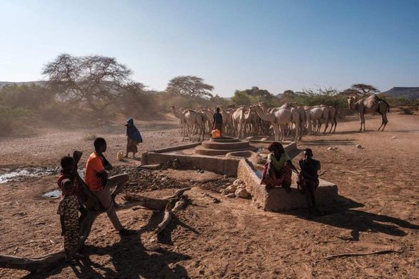 Засуха на Африканском Роге привела к голоду 22 миллионов человек