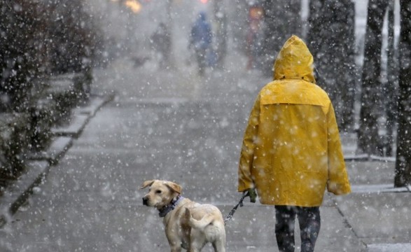 Синоптики дали прогноз на сегодня: где ожидать дождь и снег