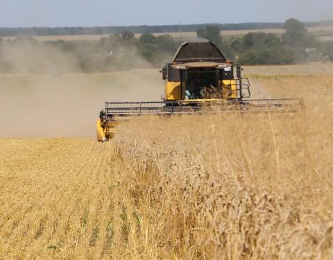 Россия украла у Украины пшеницы на сумму не менее миллиарда долларов