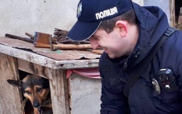 В Одесской области 12-летняя девочка резала лезвием собаку