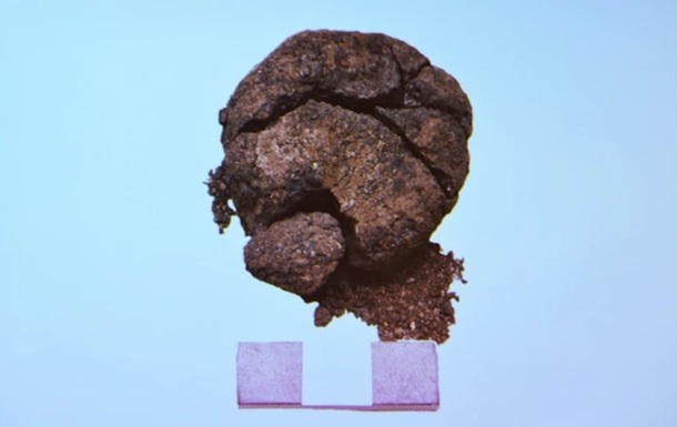 В Турции археологи нашли хлеб возрастом 8600 лет