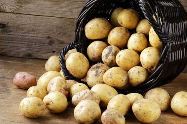В Украине взлетели цены на картофель