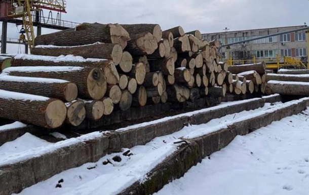 Вырубка деревьев в Чернобыльском заповеднике: причастным сообщили о подозрении
