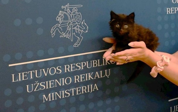 МИД Литвы "взяло на службу кота"