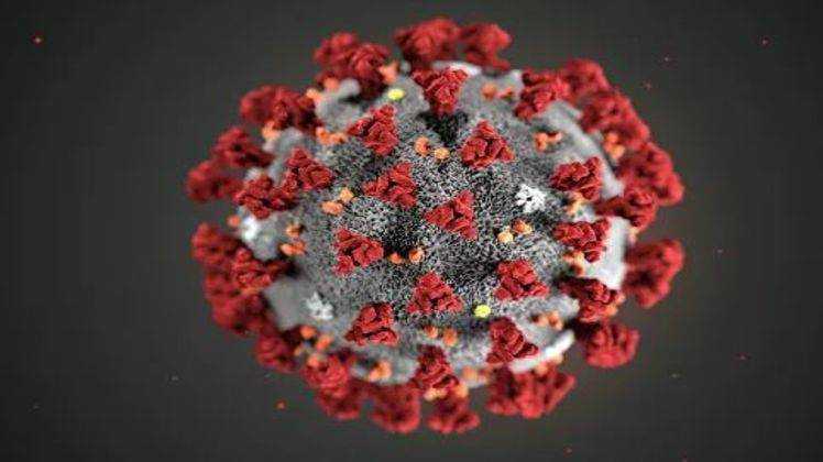 Ученые считают, что коронавирус возник естественным путем, а не в лаборатории