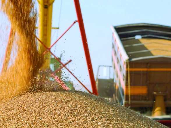 Експорт українського зерна у листопаді перевищив 3 млн тонн