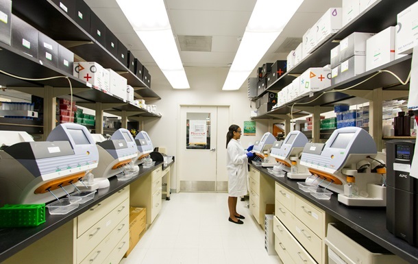 Ожирение значительно ускоряет развитие болезни Альцгеймера