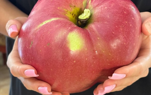 В Украине вырастили яблоко-гигант