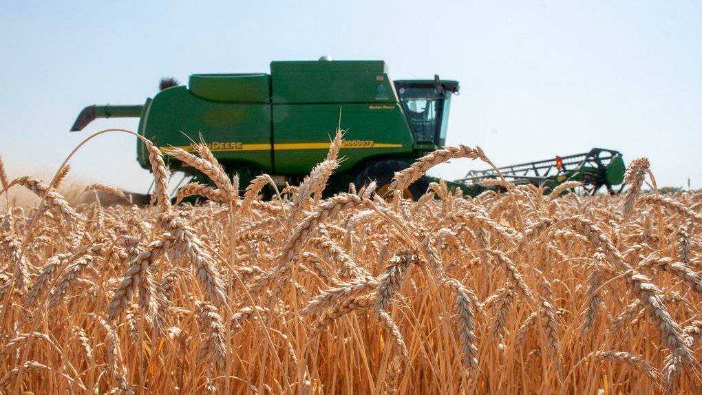 З України почали експортувати зерно нового врожаю