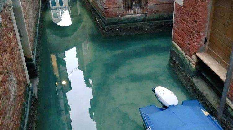 В Венецию из-за карантина впервые за 60 лет вернулись дельфины.