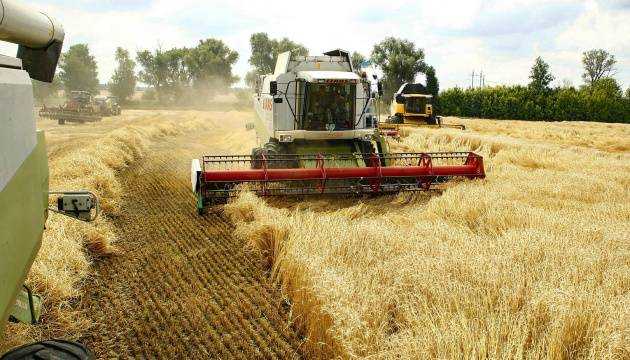 В Украине собрали уже почти 36 млн тонн зерна