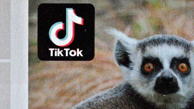 В TikTok набирает популярность новый опасный челлендж.