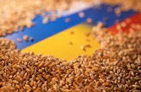 Зерновая сделка: в УКАБ заявили, что за неделю ни одно судно не прошло инспекцию на вход в украинские порты