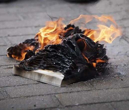 Дания усилила контроль на границе на фоне акций с сожжением Корана