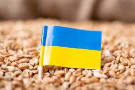 В Польше решили временно запретить импорт украинского зерна. В Минагрополитики говорят, что решение противоречит договоренностям
