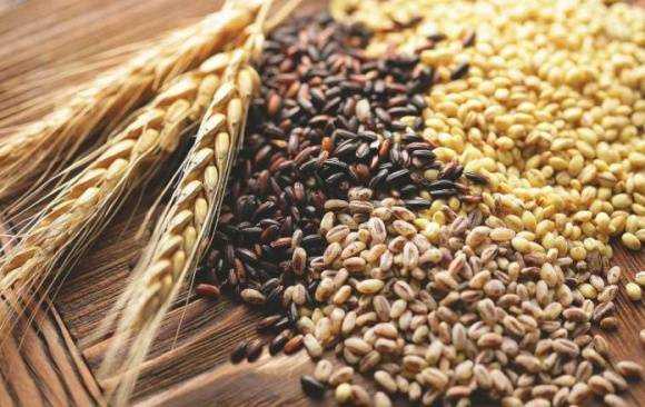 Украина экспортировала более 38,6 млн тонн зерновых