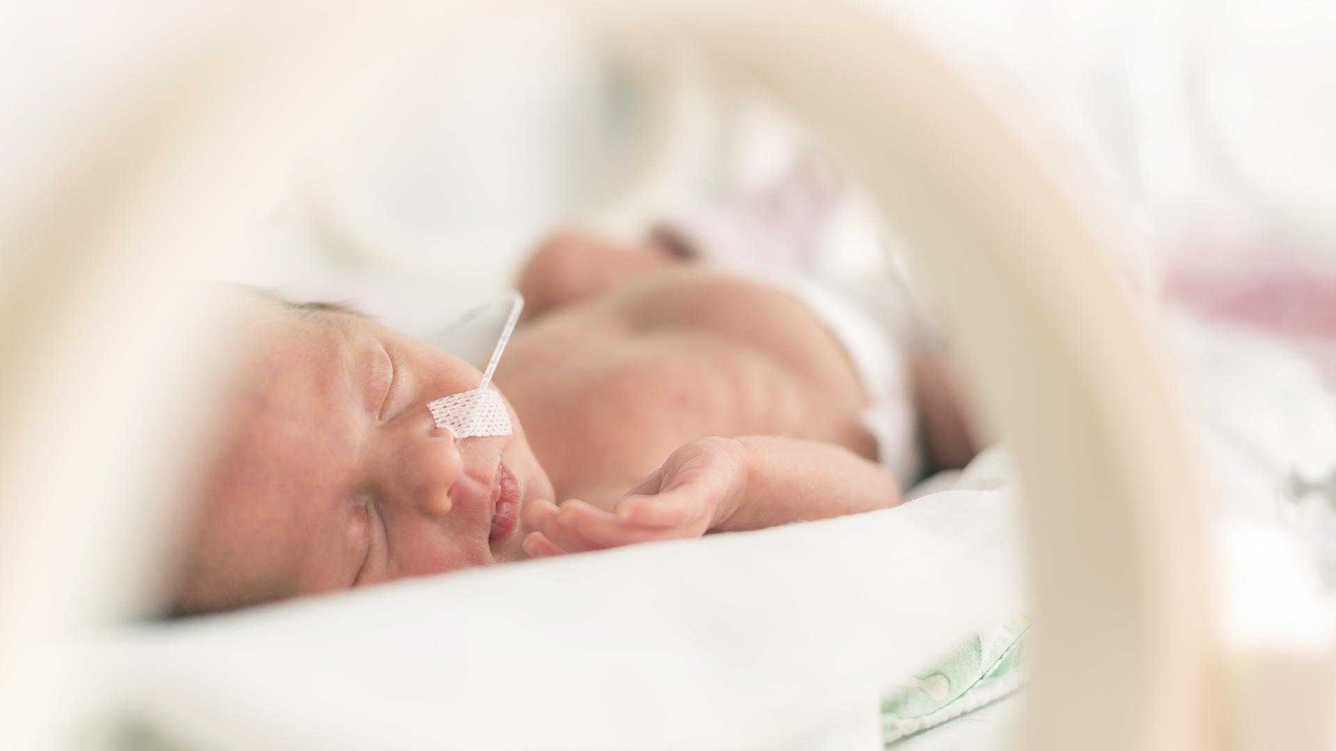 Весил менее 800 грамм: новорожденный чудом выжил после коронавируса
