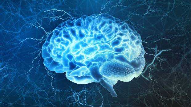 Ученые нашли способ омолодить старый мозг