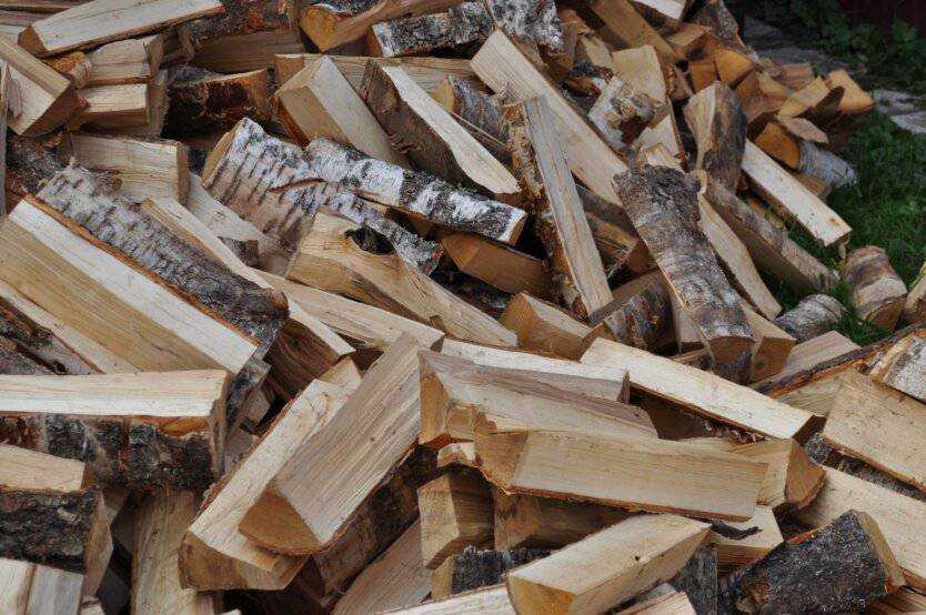 Українцям безкоштовно роздадуть дрова для опалення: хто зможе отримати