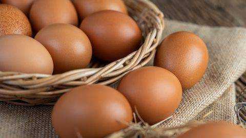Прогноз: українцям доведеться купувати яйця по 100 гривень