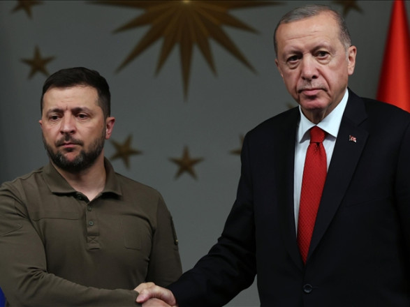 Эрдоган и Зеленский обсудили продление зерновой сделки: что известно