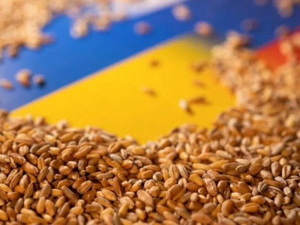 Украина призвала ООН и Турцию требовать от рф прекратить искусственные задержки в работе "зернового коридора"