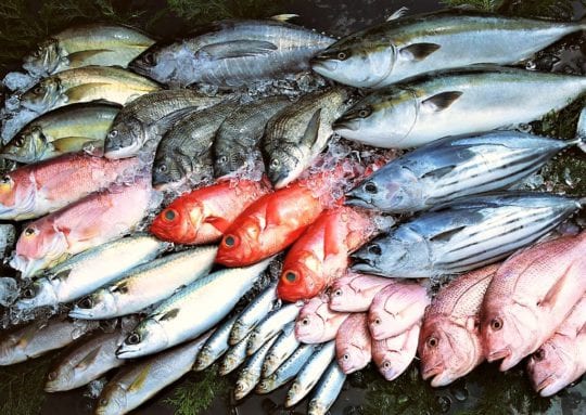 Итальянская рыба с токсинами и польское мясо с микроорганизмами: что завозят в Украину