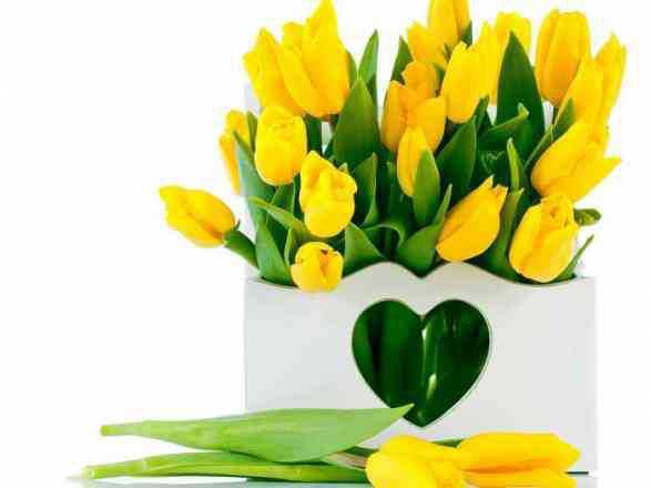 Чи варто боятись жовтих тюльпанів? Флорист дав поради, як обрати квіти за кольорами